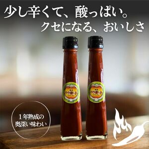カラ酢っ子2本セット 古民家カフェ 鍵屋 調味料 辛味 唐辛子酢 辛酢 辛い調味料 熟成 調味料セット