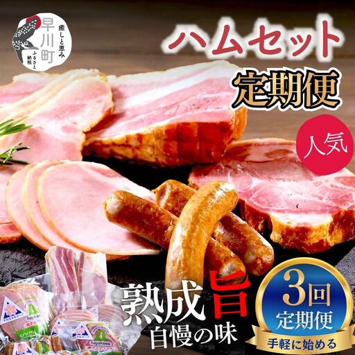 早川町 ハム 工房 セット 3回 定期便