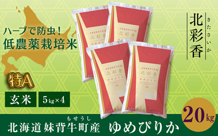 2025年10月発送 令和7年産 ゆめぴりか 玄米 20kg 一括発送 [北彩香]| 妹背牛産 北海道 米 道産 特A