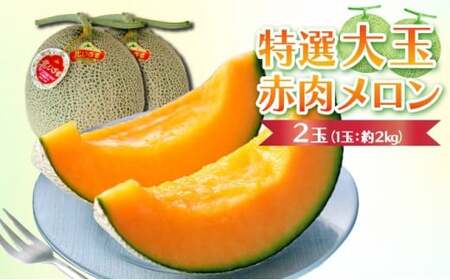 [先行予約]特選大玉赤肉メロン[2玉入り][令和8年7月末発送]
