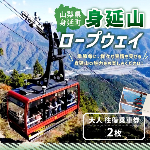 身延山 ロープウェイ 大人 往復 乗車券 2枚 ゴンドラ ロープウェー 利用券 乗車 乗り物 チケット 券 体験 観光 旅行 絶景 自然