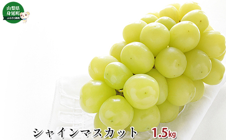 シャインマスカット約1.5kg 果物類 ぶどう ブドウ 葡萄 フルーツ デザート 食後 おやつ
