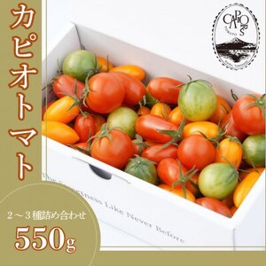 カピオトマトセレクト Mサイズ(おまかせ2～3品種の詰め合わせ550g)【1460248】