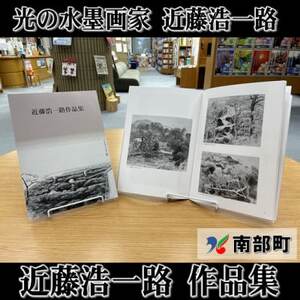 南部町立美術館　常設展図録『近藤浩一路作品集』【1466539】