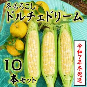 yߘa7N11菇szst@̂u~낱vuh`Fh[v10{ȏ@5LyzsnFEkCEꌧEElEBzy1570054z