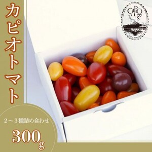 カピオトマトセレクトSサイズ(おまかせ2〜3品種の詰め合わせ300g)