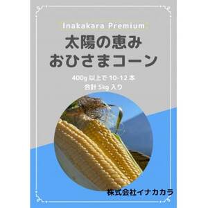[太陽の恵み]おひさまコーン[濃厚半生食感]2L(400g以上)を10〜12本[配送不可地域:離島・北海道・沖縄県・中国・四国・九州]
