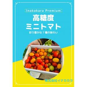 [朝穫り]イナカカラミニトマト[高糖度セレクト][配送不可地域:離島・沖縄県]