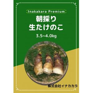 朝採り生たけのこ3.5〜4kg(S・SSサイズのみ)[配送不可地域:離島・北海道・沖縄県・中国・四国・九州]