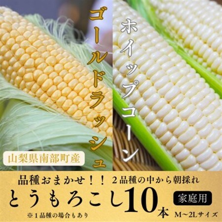 [山梨県南部町産]品種おまかせ!!朝採りとうもろこし10本 ※ご家庭用[配送不可地域:離島]