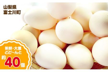 ひまわりたまご40個程度 ※破卵補償10個含 卵 鶏卵 玉子 大容量