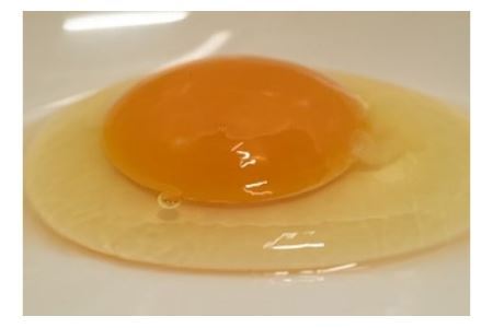 スマイル初たまご(54個程度) 卵 鶏卵 玉子