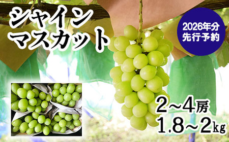 ypzy2026N s\z Rʕ̃VC}XJbg 1.8kg-2.0kg (2~4[)@Yn t[c VC }XJbg uhE Ԃǂ R ܂Ȃ xm쒬