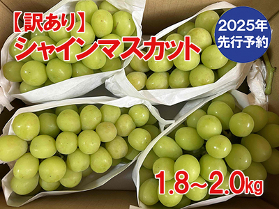 y2025N s\zy󂠂zVC}XJbg  1.8kg`2kg (3`6[) y8{ȍ~\z A 󂠂i VC }XJbg Ԃǂ uhE  p ƒp ƒp { V