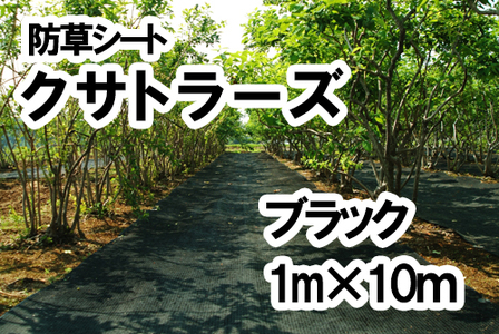 [防草シート]クサトラーズ(1m×10m)ブラック