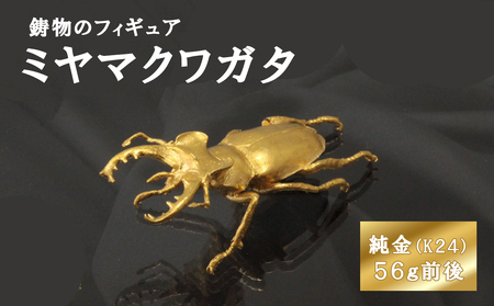 �~���}�N���K�^�̃t�B�M���A(��)�@�u���@�I�u�W�F�@�C���e���A�@24���@K24