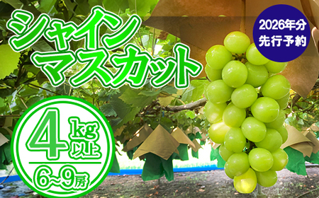 yʌzy2026N s\zVC}XJbgiSȏEU`X[j@VC }XJbg Ԃǂ uhE  t[c ʕ  R ܂Ȃ xm쒬