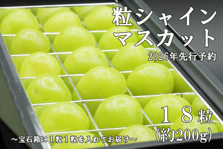 �y�ߘa�W�N�x��s�\��z�s���I�E��Δ��t�V���C���}�X�J�b�g�Ђƌ�BOX(18������E��200g)�@�V���C�� �}�X�J�b�g �Ԃǂ� ���� �u�h�E �[�Ȃ� ���V���C�� ���̂� ������ �������� �ʕ� �t���[