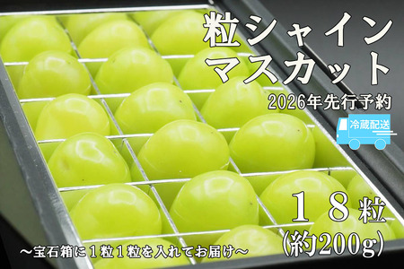 �y�ߘa�W�N�x��s�\��z�s���I�E��Δ��t�V���C���}�X�J�b�g�Ђƌ�BOX(18������E��200g)���①�������@�V���C�� �}�X�J�b�g �Ԃǂ� ���� �u�h�E �[�Ȃ� ���V���C�� ���̂� ������ ��������