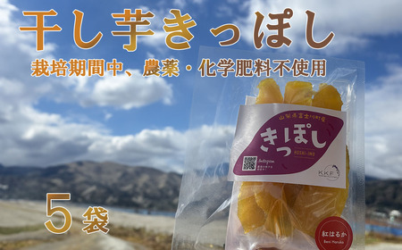 [山梨県産]紅はるか干し芋(キッポシ)500g(100g×5袋) ほしいも 干しいも ほし芋 紅ハルカ 紅はるか きっぽし さつまいも 芋 お芋 山梨 やまなし 富士川町