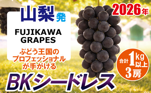 [秀品以上]上級品をお得に [BKシードレス] 1.0kg以上(3房) [2026年発送分 先行予約]- FUJIKAWA GRAPES -