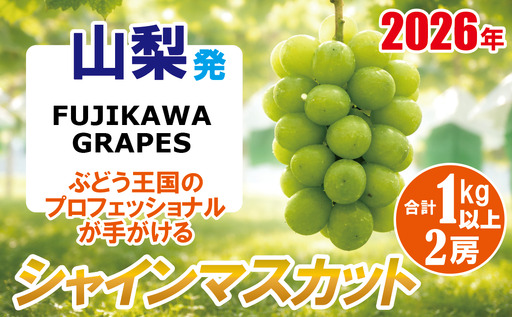 [秀品以上]上級品をお得に [シャインマスカット] 1.0kg以上(2房) [2026年発送分 先行予約]- FUJIKAWA GRAPES -