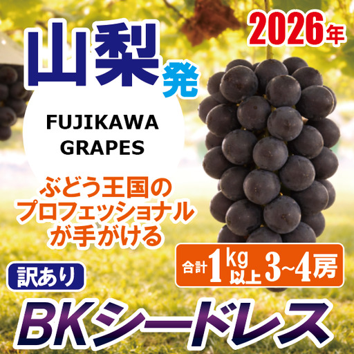 [訳あり]でも誇れる美味しさ [BKシードレス] 1.0kg以上(3〜4房) [2026年発送分 先行予約]- FUJIKAWA GRAPES - 嬉しい満足感