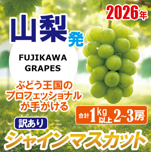 [訳あり]でも誇れる美味しさ [シャインマスカット] 1.0kg以上(2〜3房) [2026年発送分 先行予約]- FUJIKAWA GRAPES - 嬉しい満足感