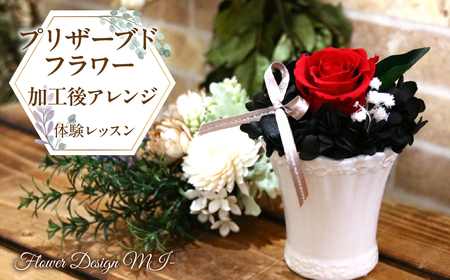 vU[uht[HAW̌bX(X^j SWAF007