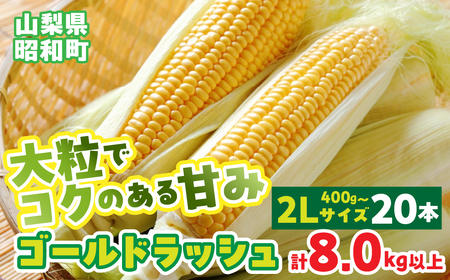 y2026Ns\zRYS[hbV2LTCY×20{Zbg SWBS003