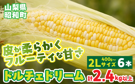 [先行予約]山梨県産ドルチェドリーム2Lサイズ×6本セット