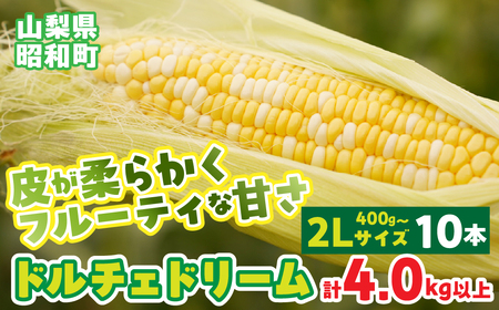 【先行予約】山梨県産ドルチェドリーム2Lサイズ×10本セット SWBS005