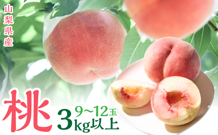 2026NRY@@i9ʁ`12ʁj@3Lȏ SWCN001-3kg