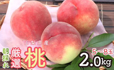 2026年発送 朝採れ!厳選!山梨県産 桃2Kg 5〜8玉 SWCM001-2kg