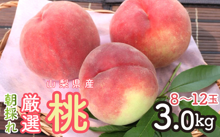 2026N ̂IIIRY 3K 8`12 SWCM001-3kg