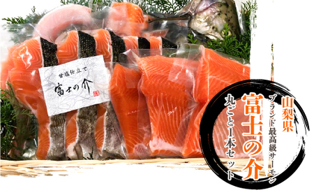 「富士の介」丸ごと一本セット SWBM001|高級魚 鮭 サーモン 人気 パーティー 高級魚