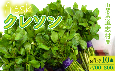 yYnzEݐVNIuYN\ 10i700`800gj DSAA002 yԌz