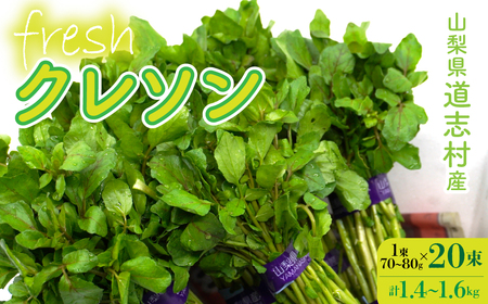 yYnzEݐVNIuYN\ 20i1400`600gj DSAA003 yԌz