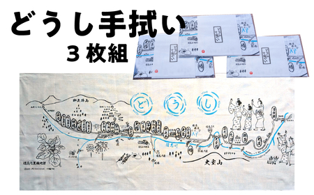 ǂ@iRgj ӂ邳Ɣ[ R u  DSL008