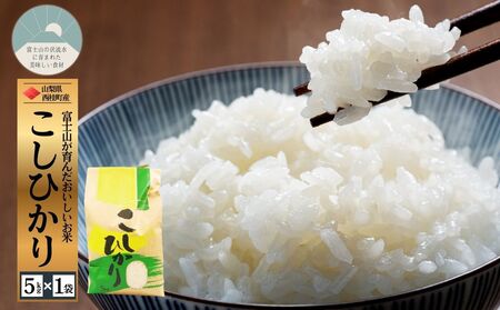 RVqJ 5L 1 / Y Ђ  5L ߘa7N V   ۑ Ki Mtg 蕨 Ε ӂ邳Ɣ[ yn0663-05_gouz