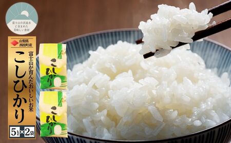 RVqJ 5L 2 / Y Ђ  10L ߘa7N V   ۑ Ki Mtg 蕨 Ε ӂ邳Ɣ[ yn0663-10_gouz