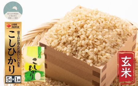 コシヒカリ[玄米] 5キロ 1袋 / 国産 こしひかり 5キロ 令和7年産 米 お米 保存袋 生活必需品 ギフト 贈り物 お歳暮 ふるさと納税 送料無料[n0668-05_gou]