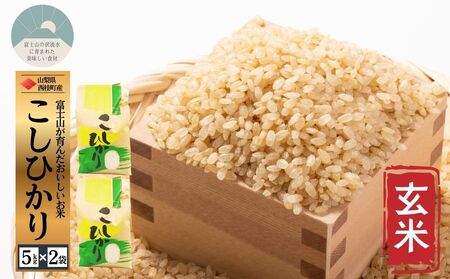 コシヒカリ[玄米] 5キロ 2袋 / 国産 こしひかり 10キロ 令和7年産 米 お米 保存袋 生活必需品 ギフト 贈り物 お歳暮 ふるさと納税 送料無料[n0668-10_gou]