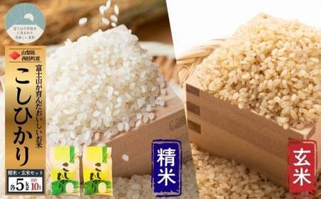 コシヒカリ[精米5キロ+玄米5キロ]合計10キロ / 国産 こしひかり 10キロ 令和7年産 米 お米 玄米 保存袋 生活必需品 ギフト 贈り物 お歳暮 ふるさと納税 送料無料[n0669_gou]