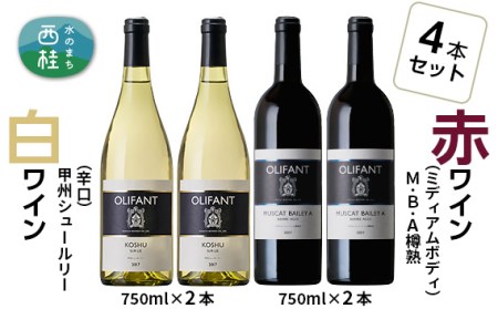 笹一酒造OLIFANT[赤・白] 750ml×4本