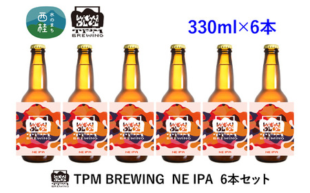 クラフトビール NE IPA 6本セット / ビール[n0415_tpm_A]