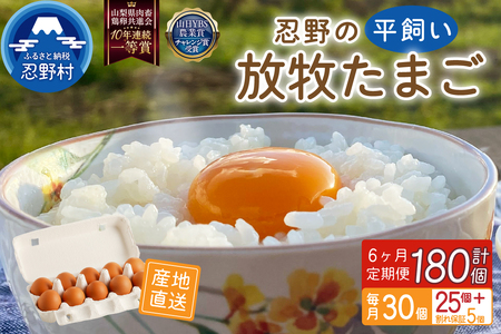 y6ցzE̕q30i25{ۏ5j