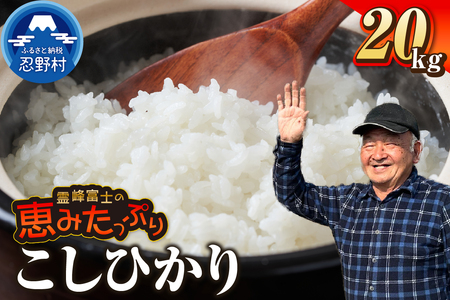 【令和7年産米】【新米先行予約】【数量限定】忍野村産こしひかり（20kg）