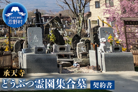 承天寺 忍野富士どうぶつ霊園集合墓