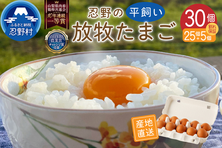 y11zzE̕q30i25{ۏ5j